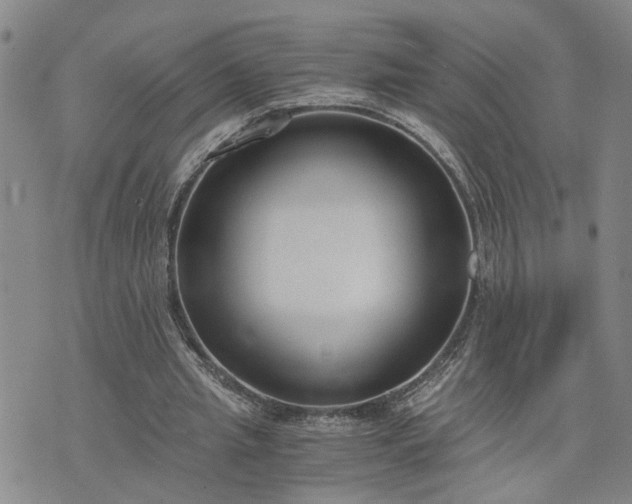 X0000076390437200610161144