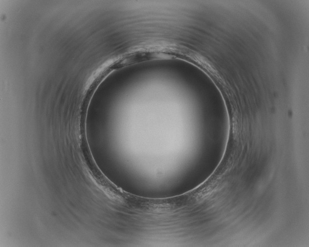 X0000076390438200610161144