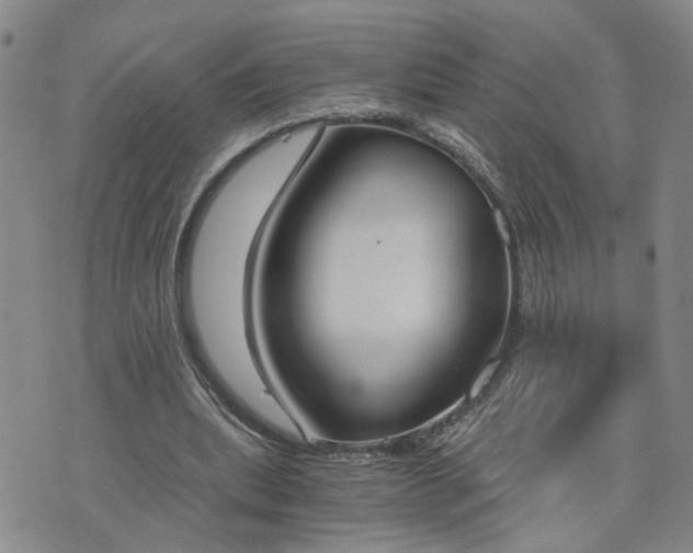 X0000076390439200610161144