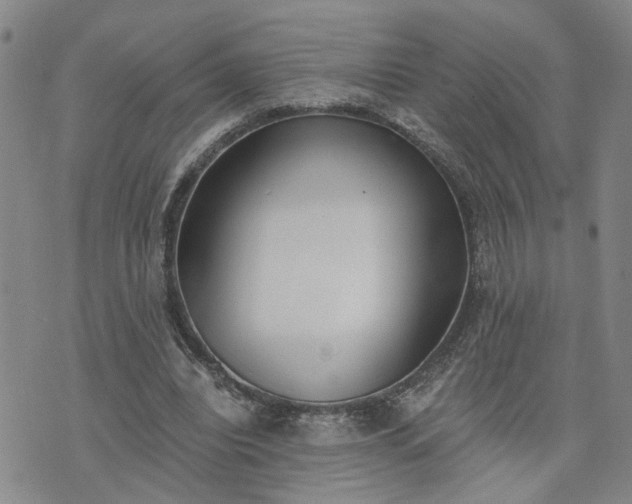 X0000076390440200610161144