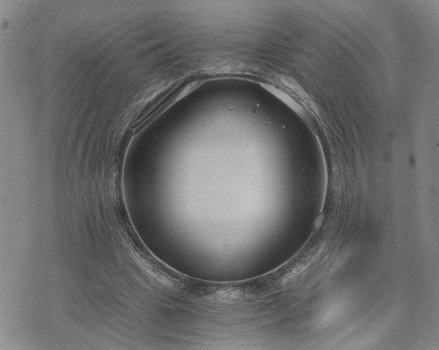 X0000076390441200610161144