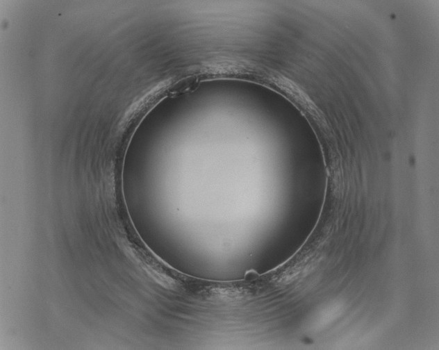 X0000076390442200610161144