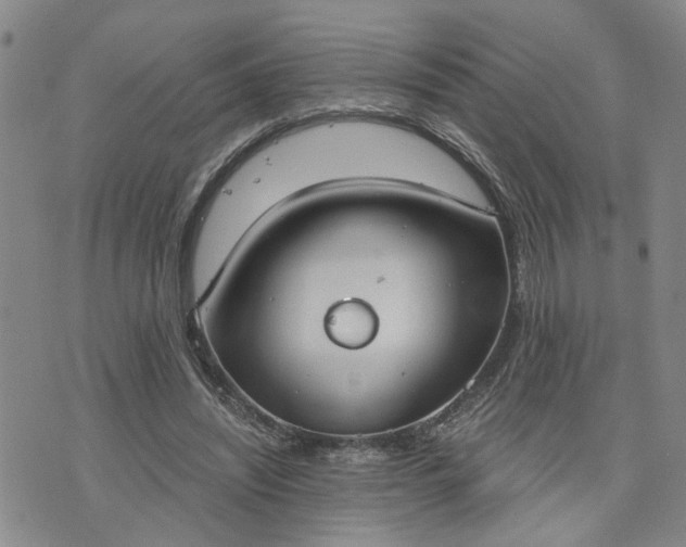 X0000076390444200610161144