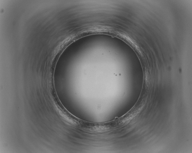 X0000076390445200610161144