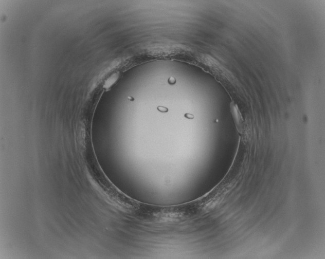 X0000076390448200610161144