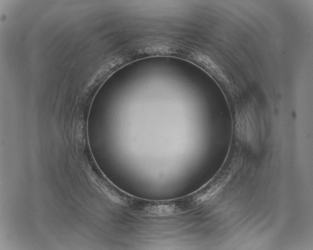 X0000076390449200610161144