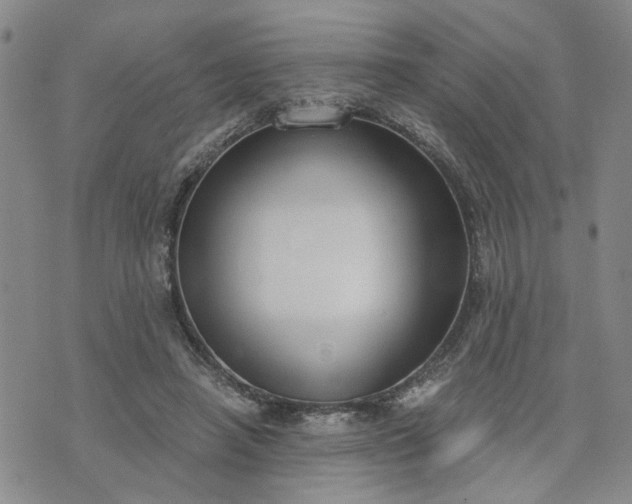 X0000076390450200610161144