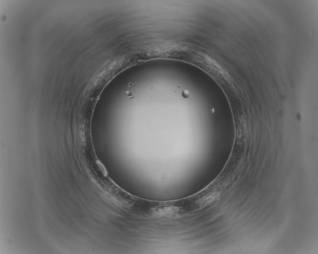 X0000076390452200610161144