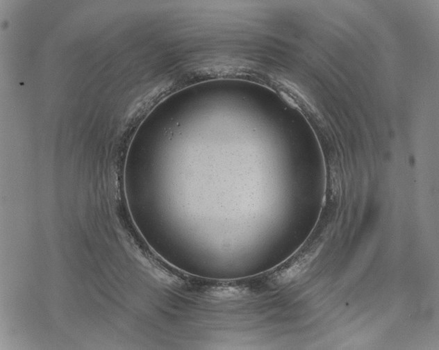 X0000076390453200610161144