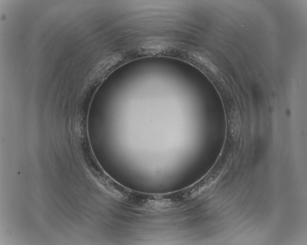 X0000076390455200610161144