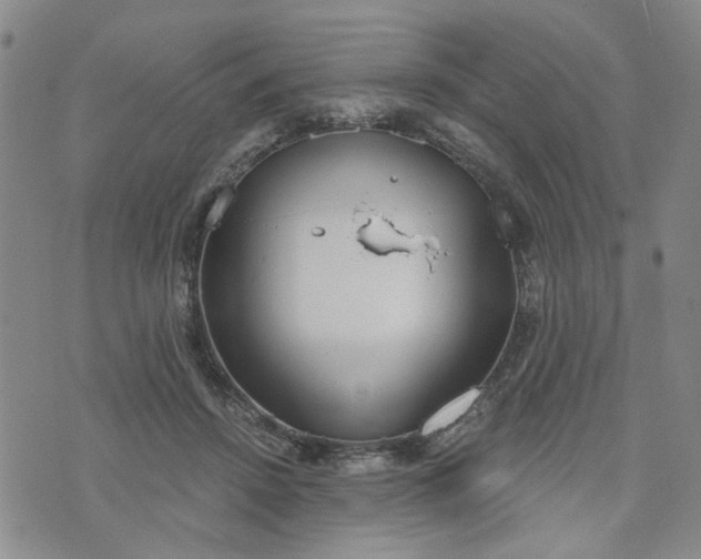 X0000076390456200610161144