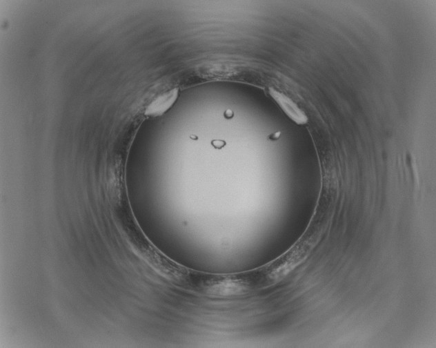 X0000076390460200610161144