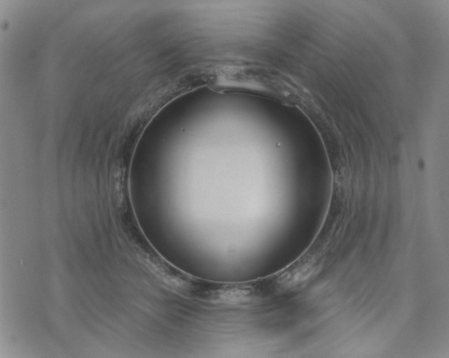 X0000076390462200610161144