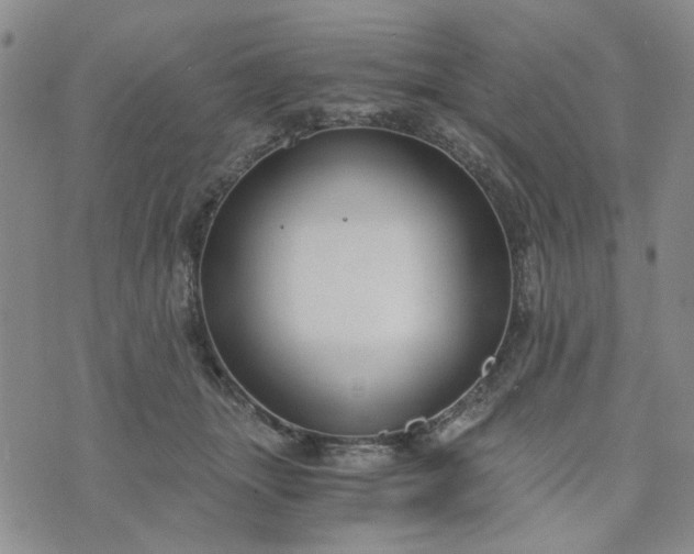 X0000076390463200610161144