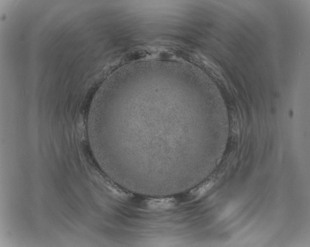 X0000076390465200610161144