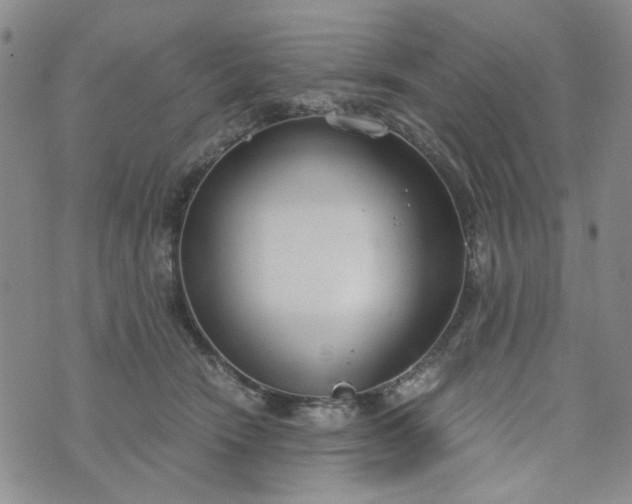 X0000076390466200610161144