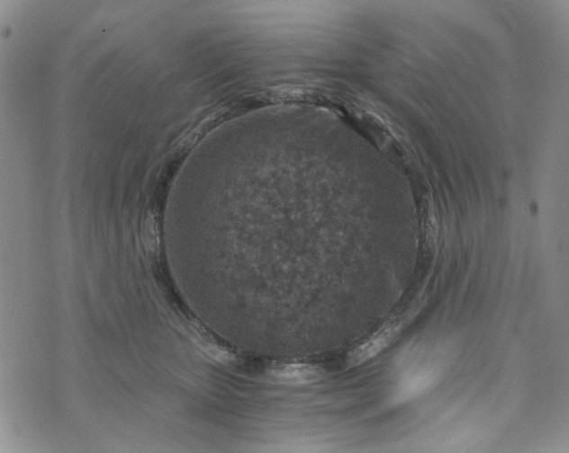 X0000076390467200610161144