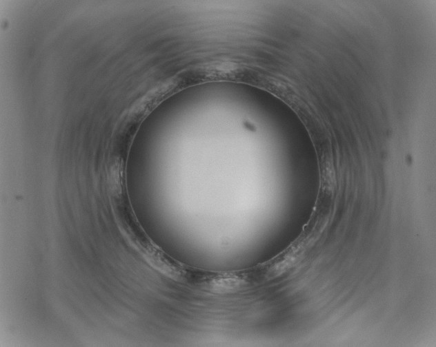 X0000076390468200610161144