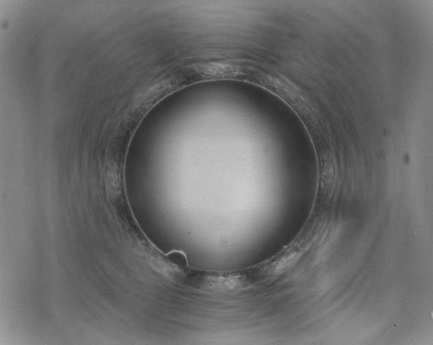 X0000076390469200610161144