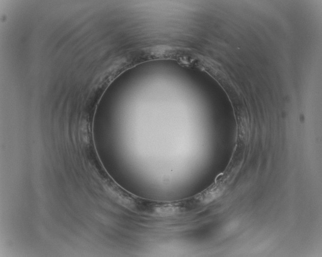 X0000076390470200610161145