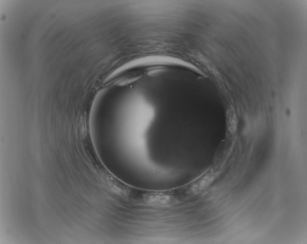 X0000076390471200610161145