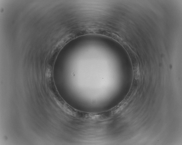 X0000076390472200610161145