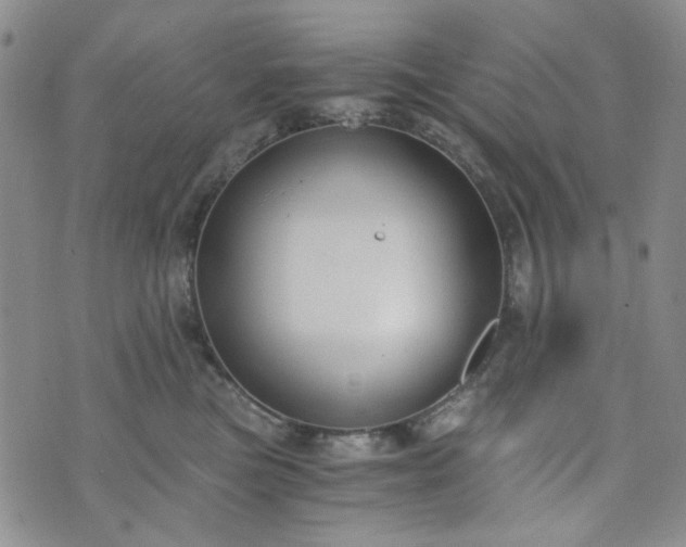 X0000076390473200610161145