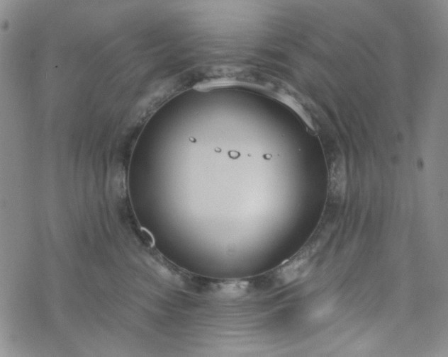 X0000076390474200610161145