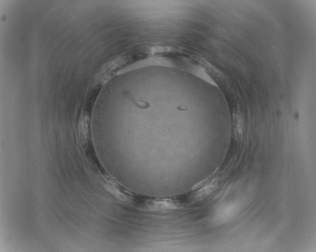 X0000076390475200610161145