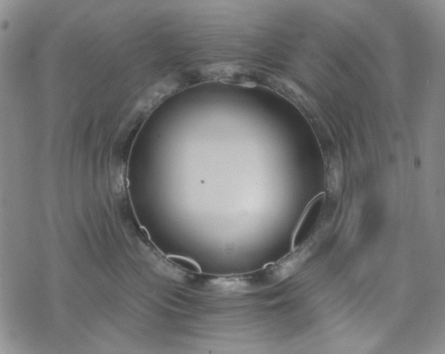 X0000076390477200610161145