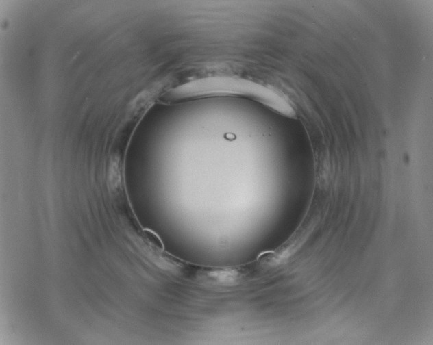 X0000076390478200610161145