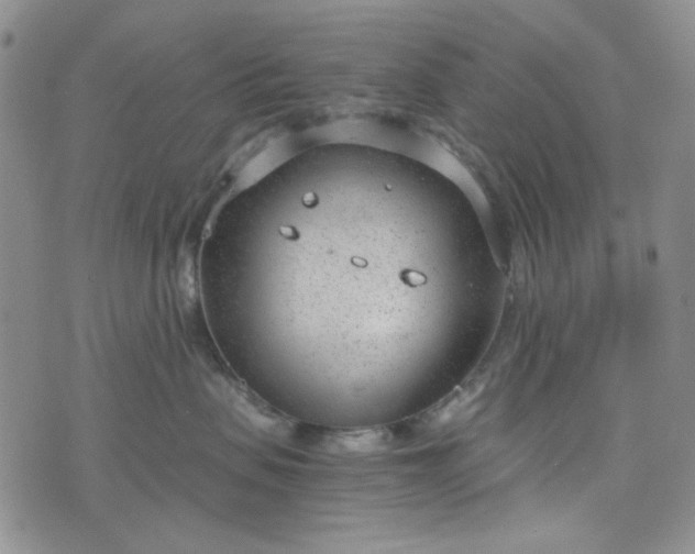 X0000076390479200610161145