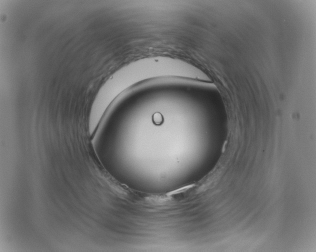 X0000076390480200610161145