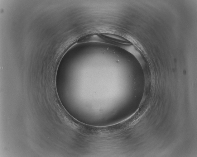 X0000076390481200610161144