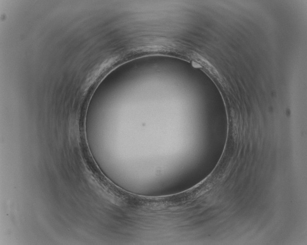 X0000076390482200610161144