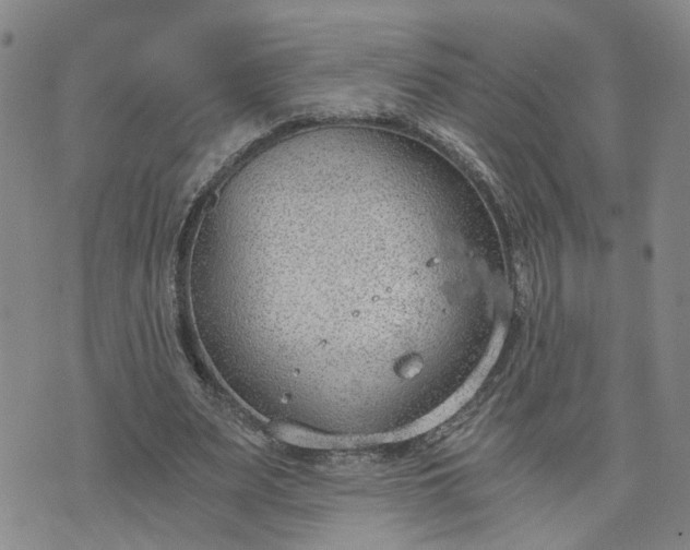 X0000076390487200610161144