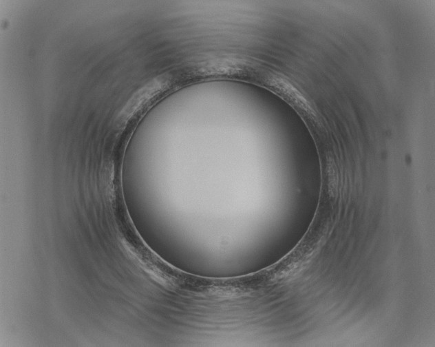 X0000076390490200610161144