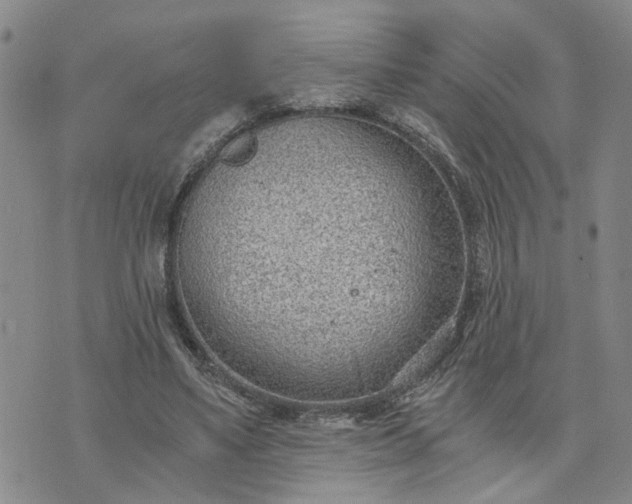 X0000076390491200610161144