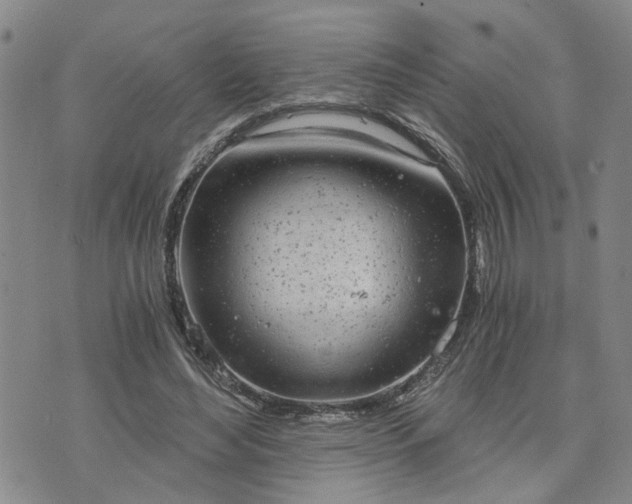 X0000076390492200610161144