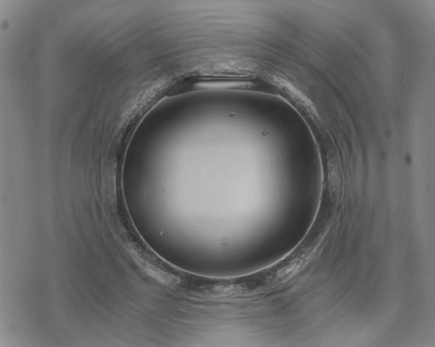 X0000076390493200610161144