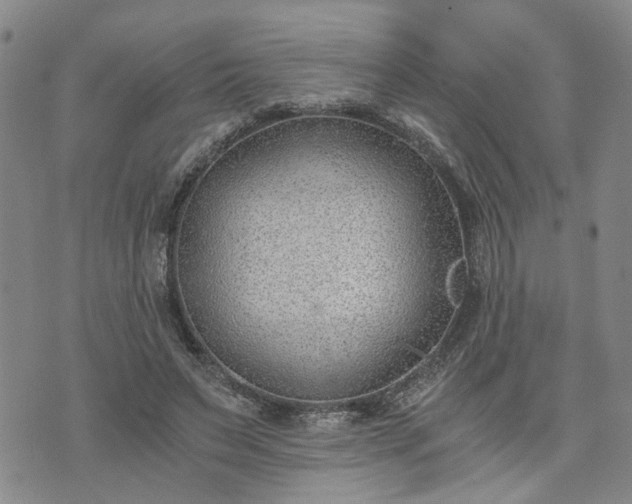 X0000076390495200610161144