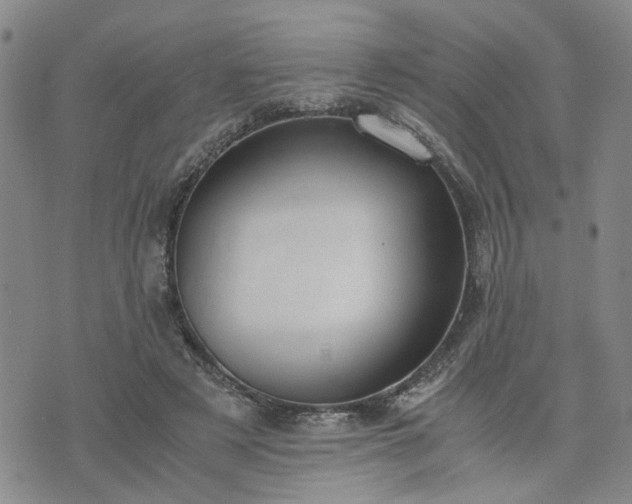 X0000076390497200610161144