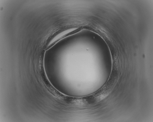 X0000076390499200610161144