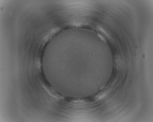 X0000076390500200610161144