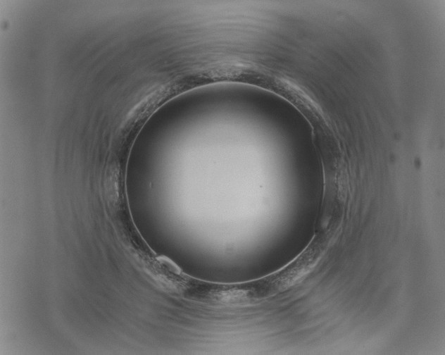 X0000076390501200610161144