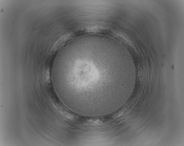 X0000076390502200610161144