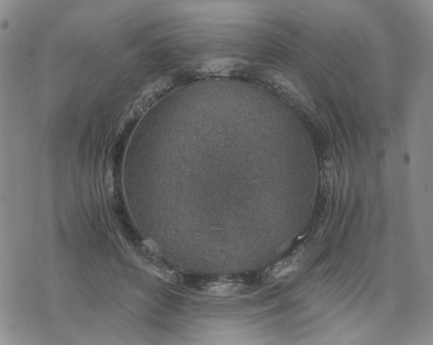 X0000076390504200610161144