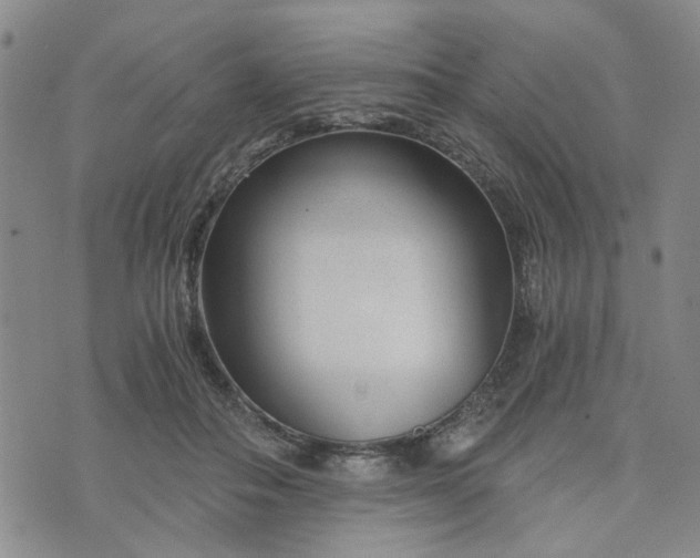 X0000076390506200610161143