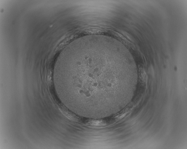 X0000076390507200610161143