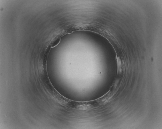 X0000076390508200610161143